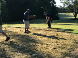 Sprigging the Putting Green