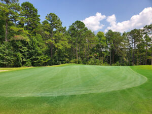 The Tradition Golf Club Hole #10