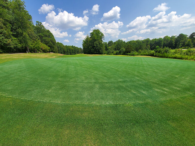 Course Renovation The Tradition Golf Club Charlotte, NC