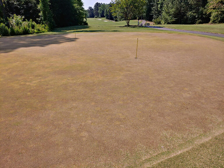 Course Renovation The Tradition Golf Club Charlotte, NC